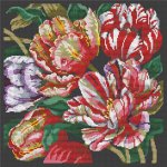 (image for) Parrot Tulips